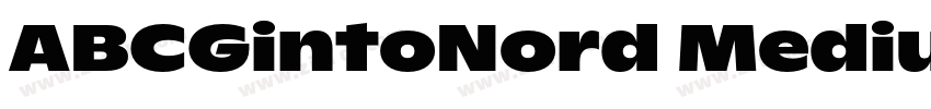 ABCGintoNord Medium字体转换